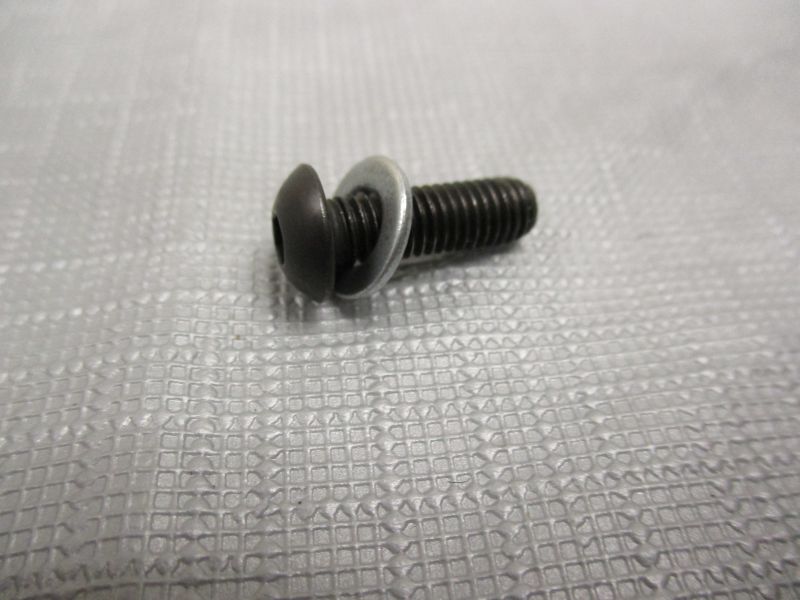 M5 x 16mm Screw with M5 Washer